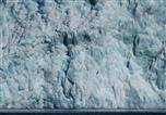Eissturmvogel vor Gletscherwelt