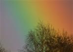 Regenbogenfarben