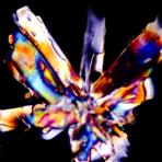 Laktose-Kristall im polarisierten Licht