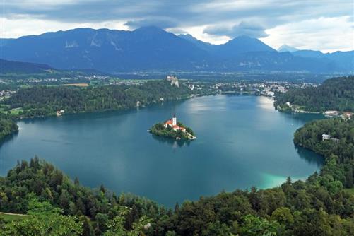 see bled