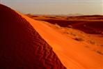 sandwüste arabische emirate