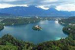 see bled