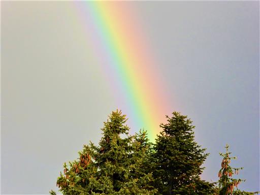 Regenbogen ber Lichtenau / Mfr.