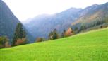 Herbstlandschaft in Südtirol