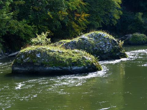 Felsen im Donaudurchbruch