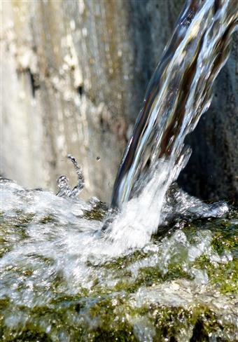 Zufallsbild das Wassermännchen an der Quelle San Bol