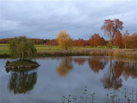 Triesdorfer Inselweiher im Herbst