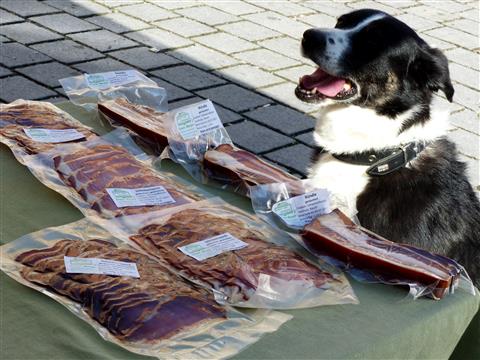 Bitte Verpackung öffnen-gut erzogener Hund am Wochenmarkt in Gunzenhausen