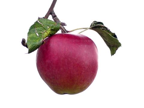ein Apfel