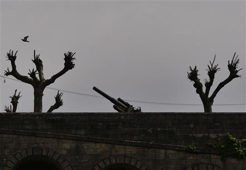 Hnde hoch mit Friedenstaube in Porto