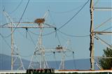 Storchennester mit eigener Stromversorgung