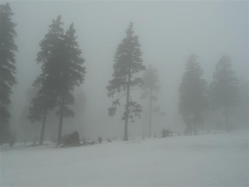Nebel am Keilberg