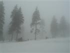 Nebel am Keilberg