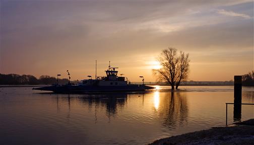 Fhre beim Sonnenaufgang auf der Elbe
