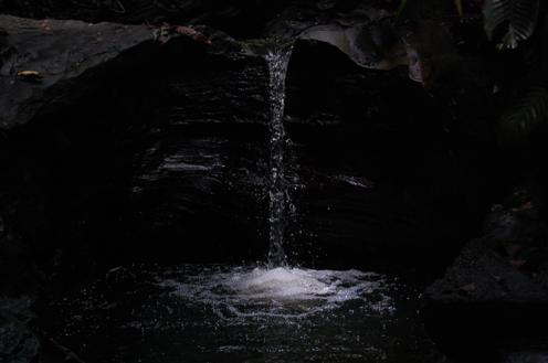 Wasserfall im Regenwald