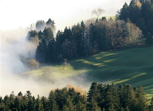Am Etzel, hoch ber dem Nebelgrau (Schweiz)