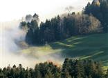 Am Etzel, hoch über dem Nebelgrau (Schweiz)