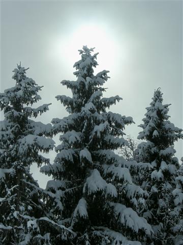 Winterwandern Salzachtal