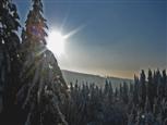 Winter im Oberharz