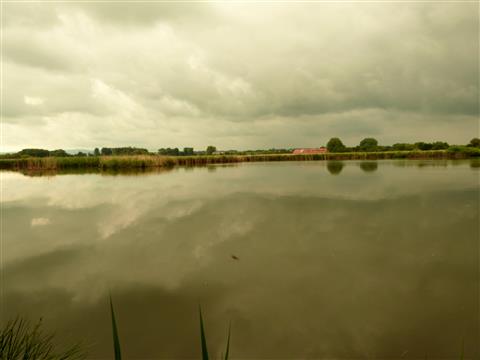 Gewitterwolken ber dem Reinheimer Teich
