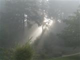 Sonne gegen Nebel