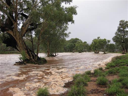 Hochwasser in der Wste Australiens