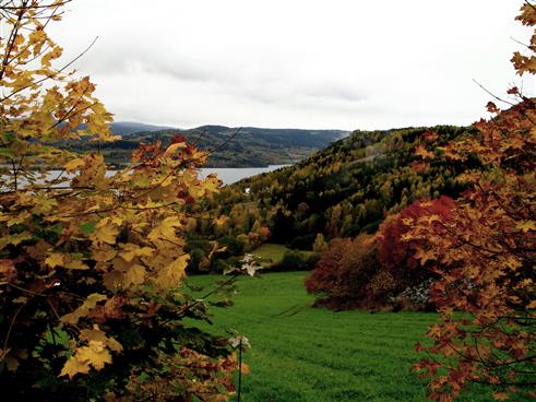 Herbst am Mjsasee, Norwegen