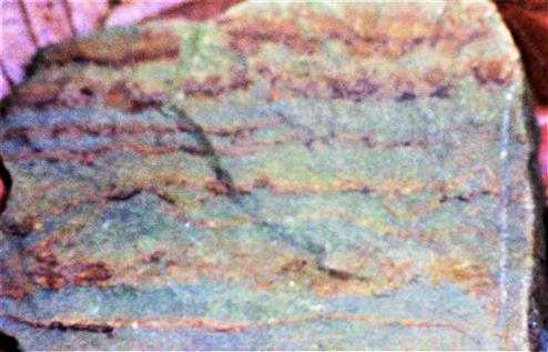 Grauwacke mit Sedimentschichten organischen Materials