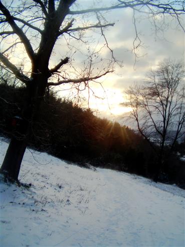 Sonne über der verschneiten Wacholderheide