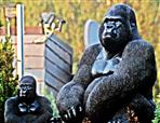Gorilla-Statuen in einem Garten in Roth