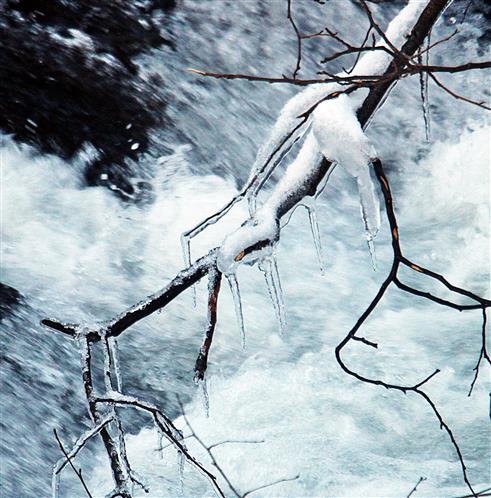Eiszapfen an einem Zweig ber die Dietzhlze bei Rittershausen