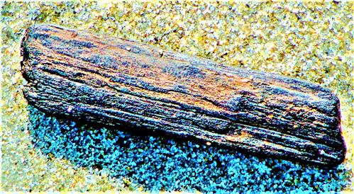 Ein Stück Treibholz am Strand nordöstlich von Renesse(Holland)