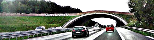 Grünbrücke für Wildwechsel über eine Autobahn