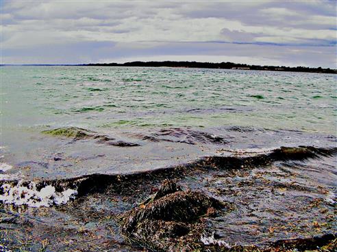 Meeresbucht der Ostsee in Südostdänemark