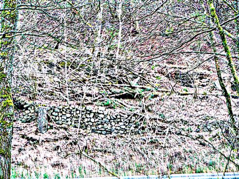 Mauerreste einer Umzunung bzw. Umfriedung im Wald nahe einer Strae