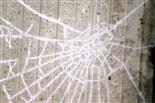 Spinnennetz mit Raureif