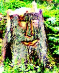 Schnitzerei an einem Baumstumpf(Gemeine Fichte(Picea abies(L.)H. Karst.))