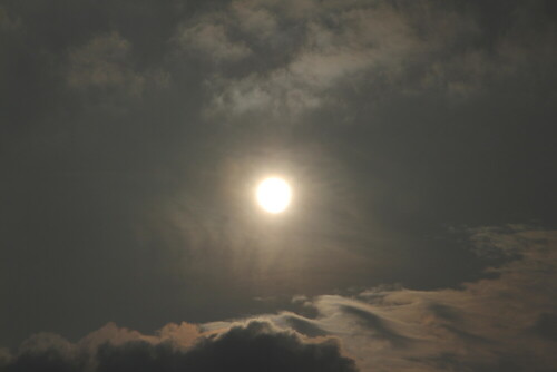 sonne-mit-schleierwolke-13733.jpeg