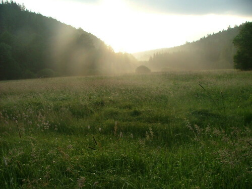 Sonnenaufgang im Hafenlohrtal -Bayerischer Spessart


