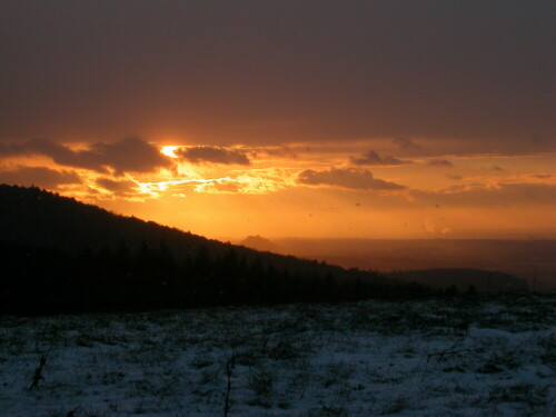 sonnenuntergang-im-schwarzwald-446.jpeg