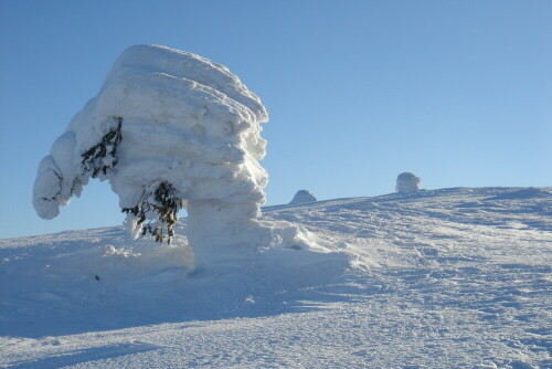 2t-schnee-achtung-bruchgefahr-1177.jpeg