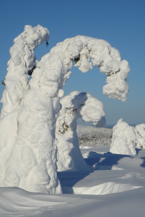 Die Natur verbeugt sich

Aufnameort: Finnisch Lappland
Kamera: Sony T100