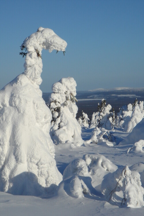 Dinosaurier

Aufnameort: Finnisch Lappland
Kamera: Sony T100