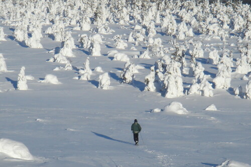 

Aufnameort: Finnisch Lappland
Kamera: Sony T100