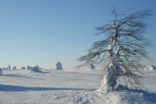 er-trotzt-jedem-wetter-1176.jpeg