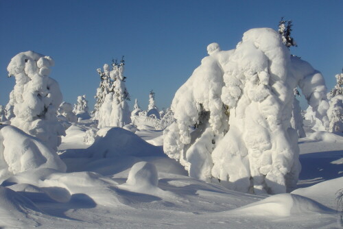 Fabelwesen aus Schnee

Aufnameort: Finnisch Lappland
Kamera: Sony T100