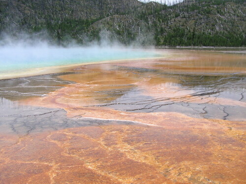 Biscuit Basin im Yellowstone Nationalpark

Aufnameort: Wyoming, USA
Kamera: Olympus Camedia C-750 UltraZoom