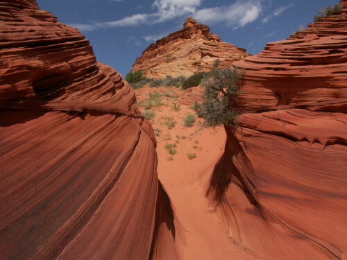 Zu Fuß erkundete Halbwüstenlandschaft  im Gebiet Grand Staircase Escalante im Südwesten der USA, aufgenommen im August 2005

Aufnameort: USA, Genze Arizona-Utah
Kamera: Konica Monolta Dimage A2