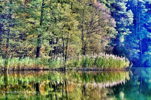 Es wird Herbst im Naturpark

Aufnameort: Naturpark Schlaubetal
Kamera: Nikon D 90