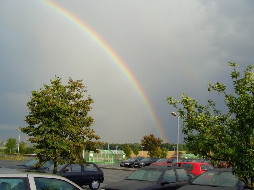 Regenbogen am Horizont

Aufnameort: Parkplatz Globus Jena-Isserstedt
Kamera: Jenoptik 6.0z3